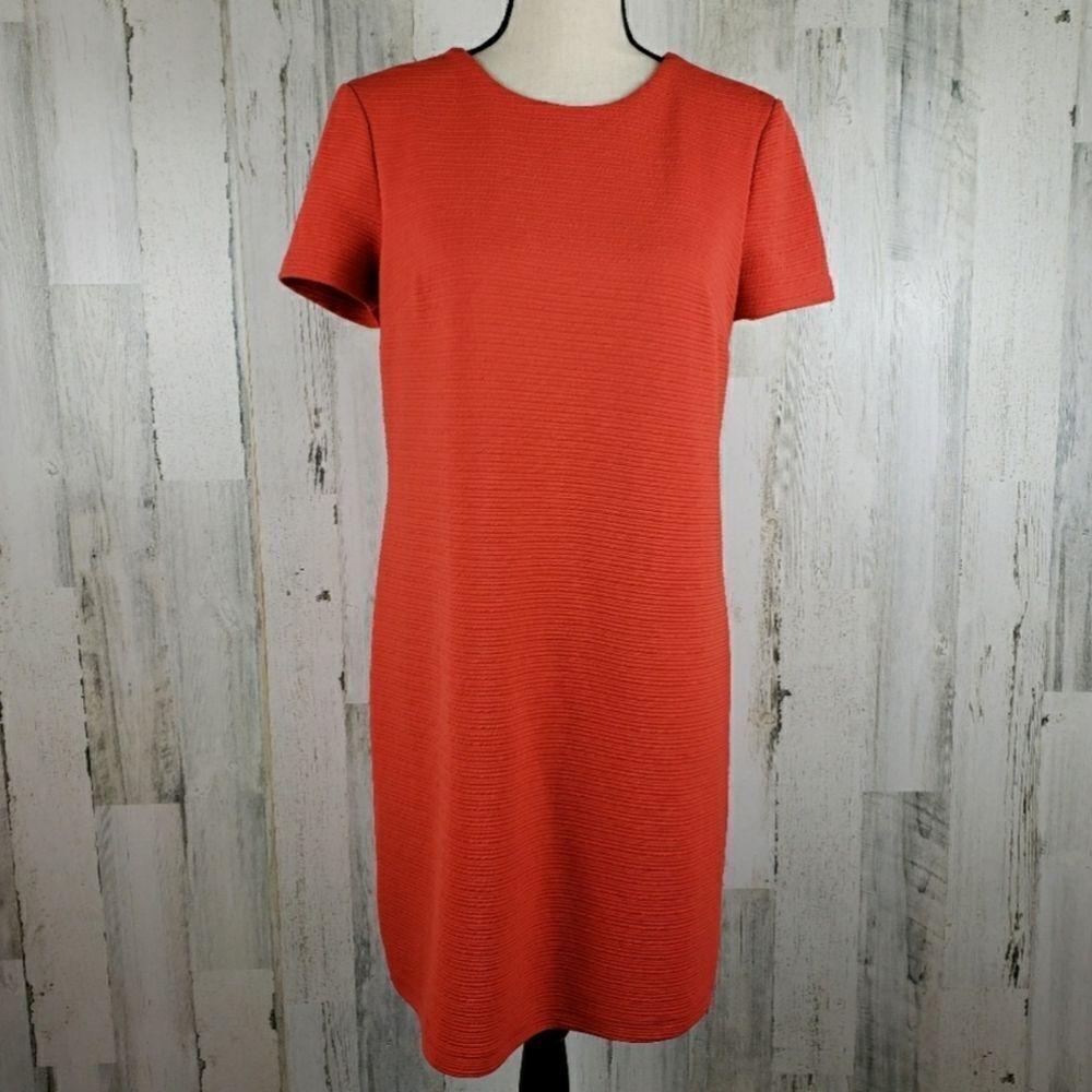 Maggy London Ribbed Shift Dress Sz 8